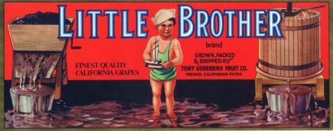 Little Brother